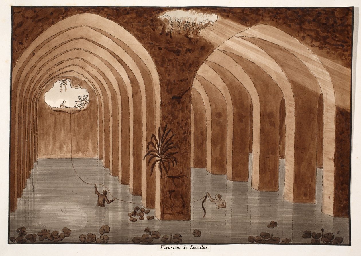 Lucullusの飼育所、1833年（茶色のウォッシュでエッチング） 作： アゴスティーノ・トファネッリ