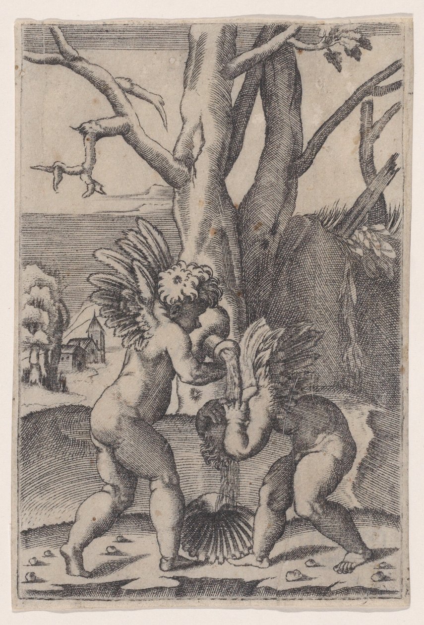 2 つのキューピッド、約。 1519年。 作： アゴスティーノ・ヴェネツィアーノ