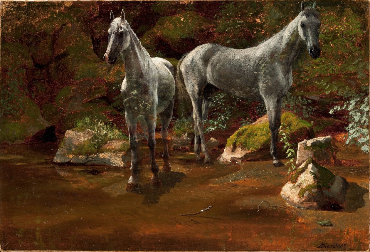 野生の馬の研究 作： アルバートビアシュタット