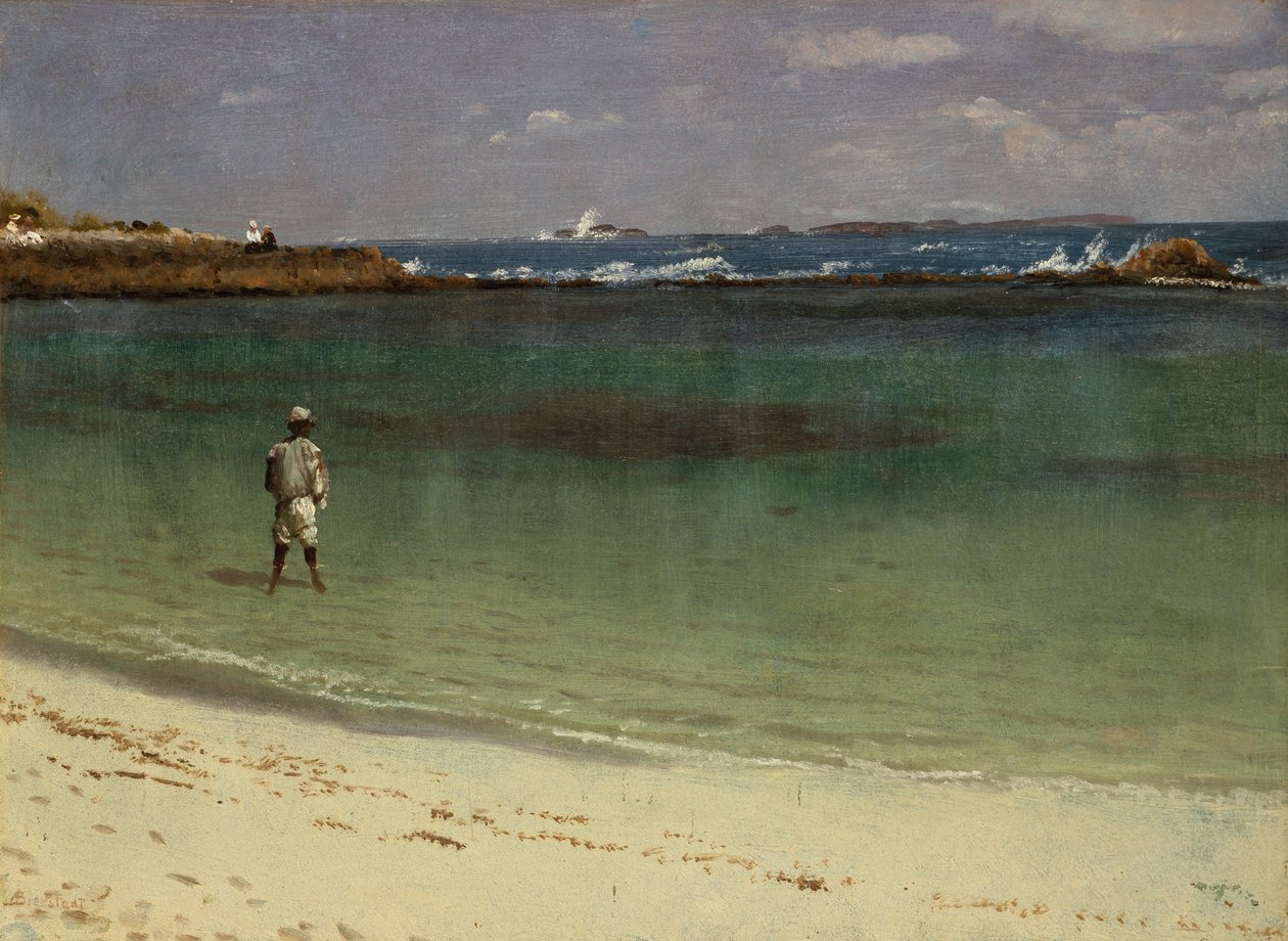 西インド諸島の海岸風景 1880-93年頃（油彩、紙、ファイバーボード） 作： アルバートビアシュタット