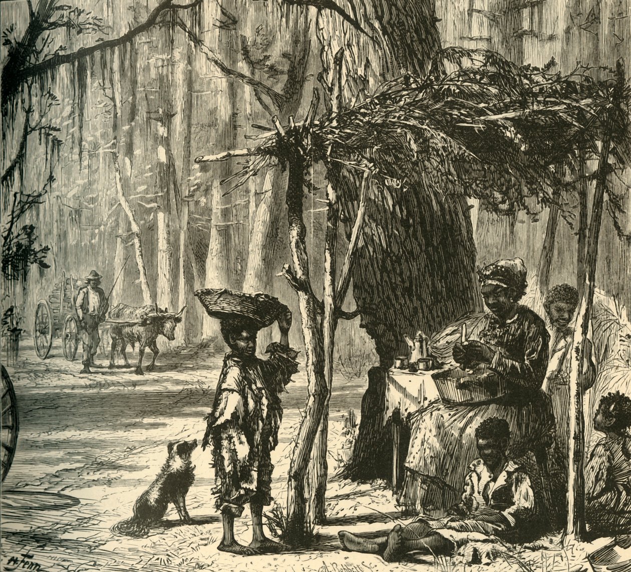 「チャールストン近くの道端の情景」、1872 年。 作： アルバート・ボベット