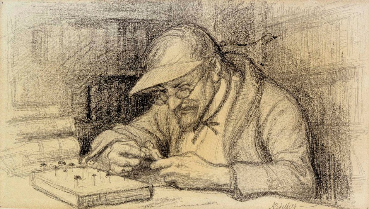 小さな天才の挿絵 作： アルバート・エーデルフェルト