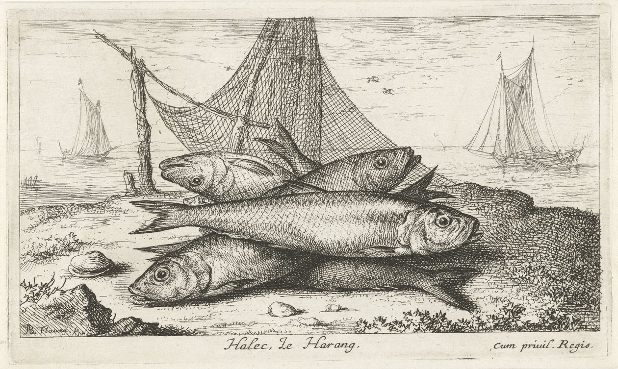 漁網のペグ ハレック、ルハラン。 (アイテムのタイトル) 魚とその他の海の生き物 - 海水第二シリーズ (シリーズ タイトル) Poissons de mer（シリーズタイトル） 作： アルバートフレミッシュ