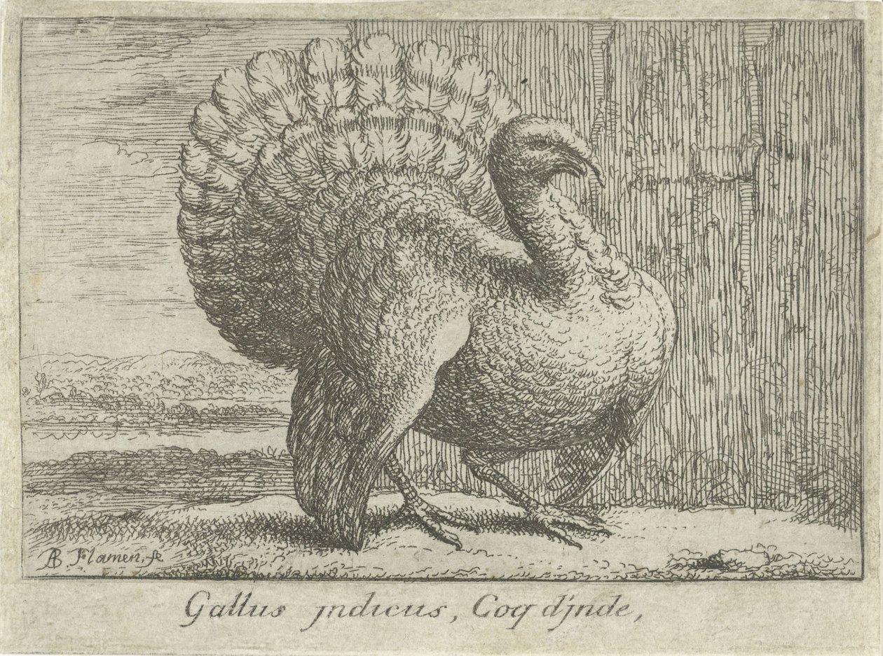 Landschap met kalkoen Gallus indicus、Coq d