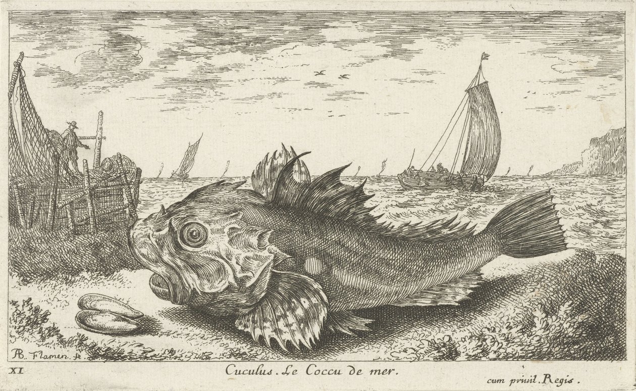 ビーチでプーン ククルス。 Le Coccu de mer (オブジェクトのタイトル) 魚とその他の海の生き物 - 海水の最初のシリーズ (シリーズ タイトル) Diverses Especes de Poissons de mer (シリーズタイトル) 作： アルバートフレミッシュ