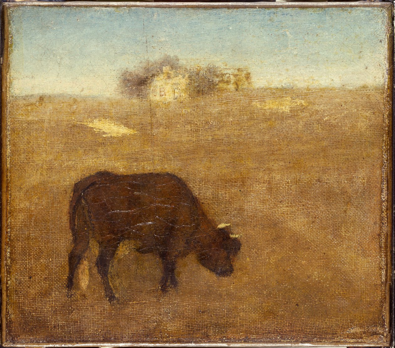 1870年代初頭から半ばまでの夕方の輝き、古い赤牛 作： アルバート・ピンクハム・ライダー
