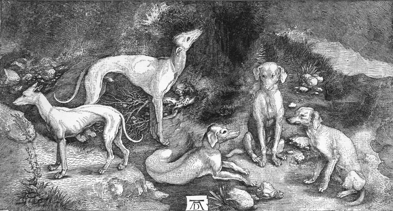 犬のグループ。 A.デューラーによる聖ユースタスの彫刻から、c1500、1906 作： アルブレヒト・デューラー