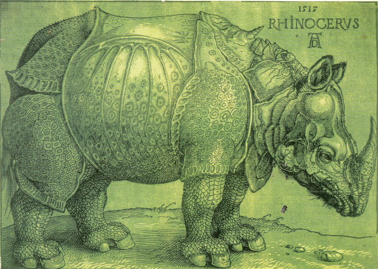 ラテン語  Rhinocerus サイ 作： アルブレヒト・デューラー