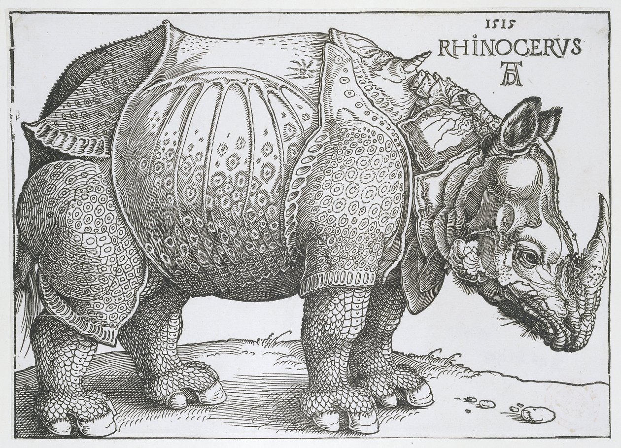 ノイショールン Rhinocerus (オブジェクトのタイトル) 作： アルブレヒト・デューラー