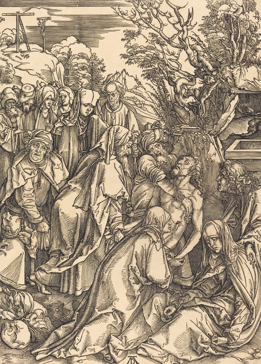 沈着、c。 1497年。 作： アルブレヒト・デューラー
