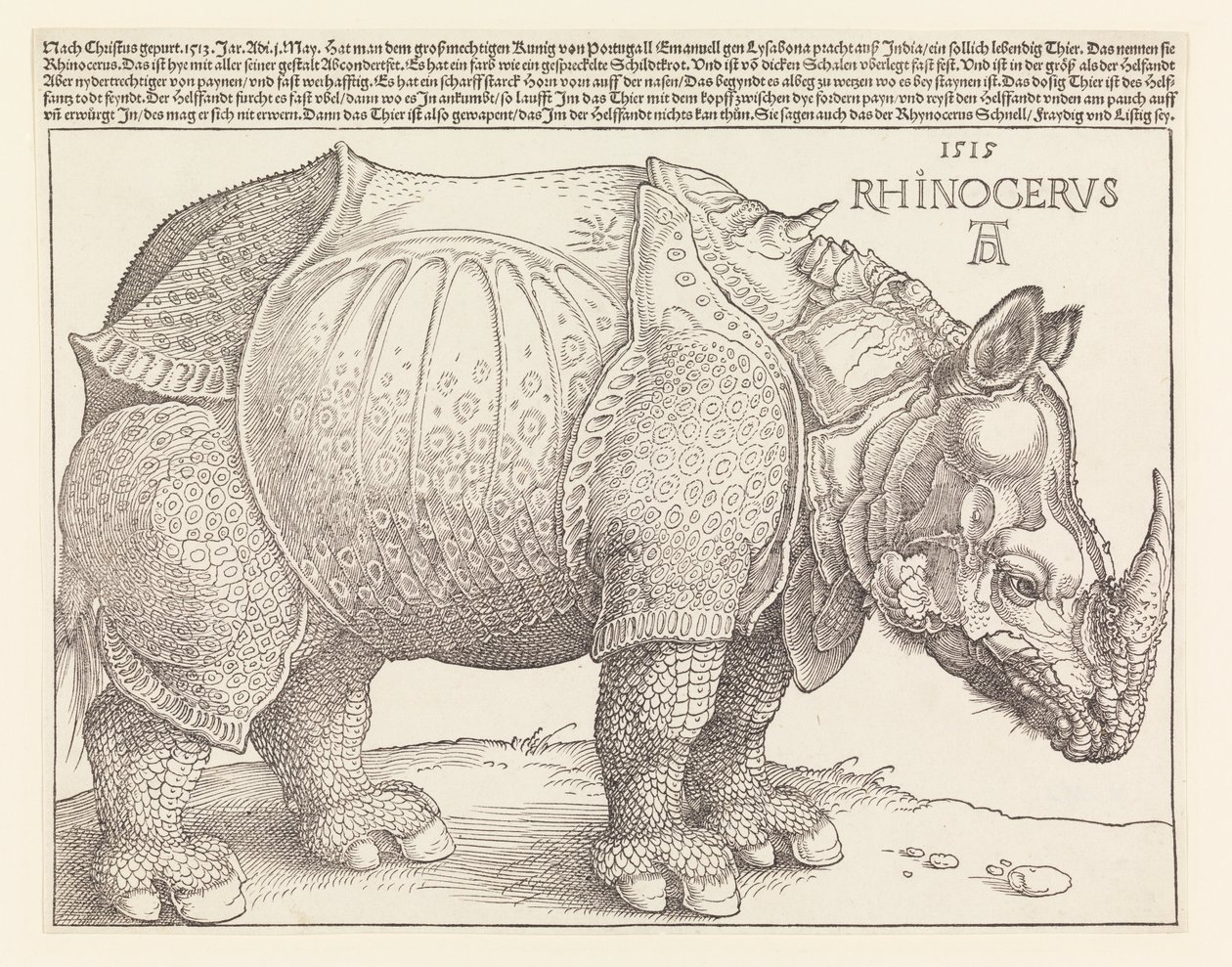 サイ | アルブレヒト・デューラー