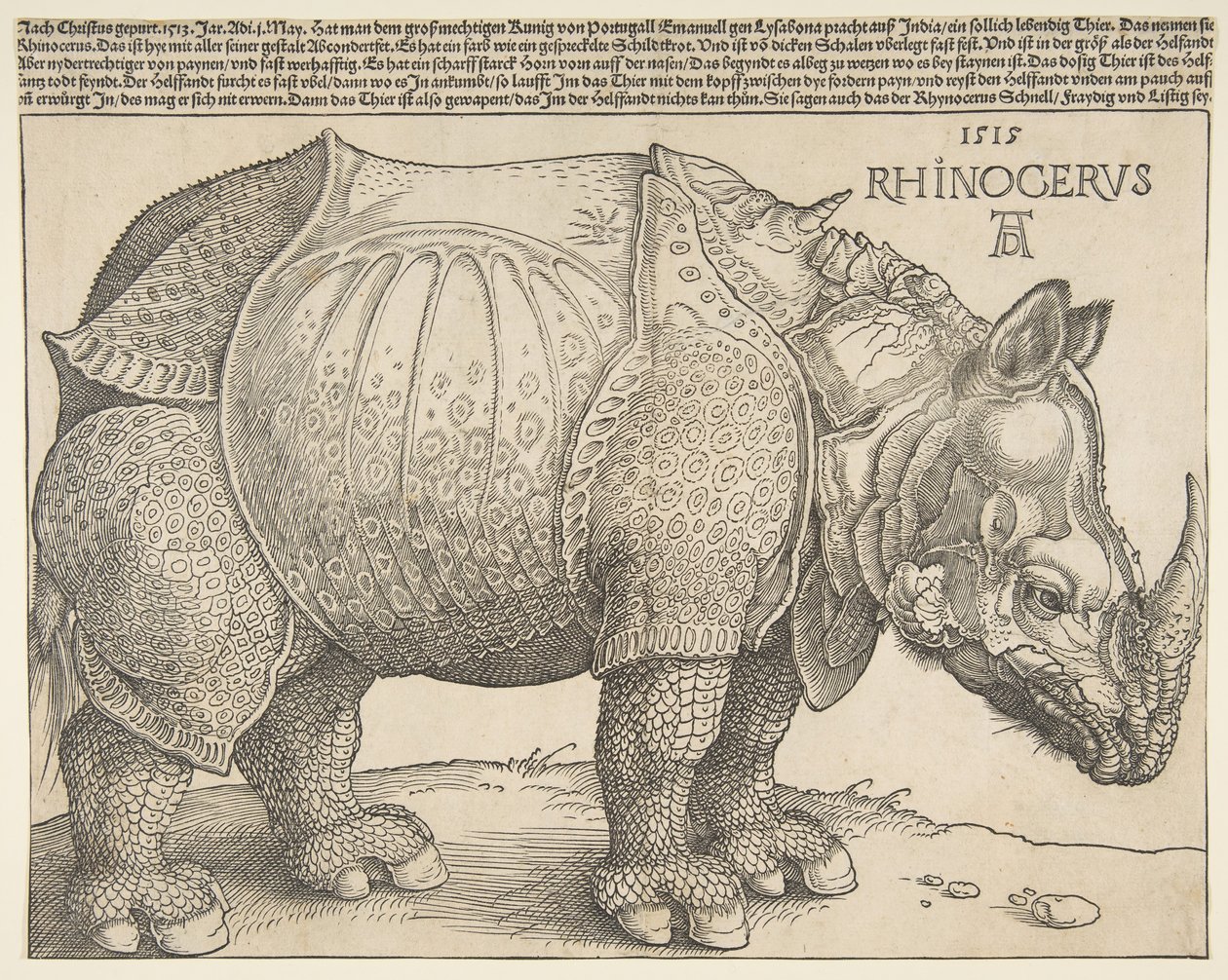 Rhinoceros.n.d. 作： アルブレヒト・デューラー