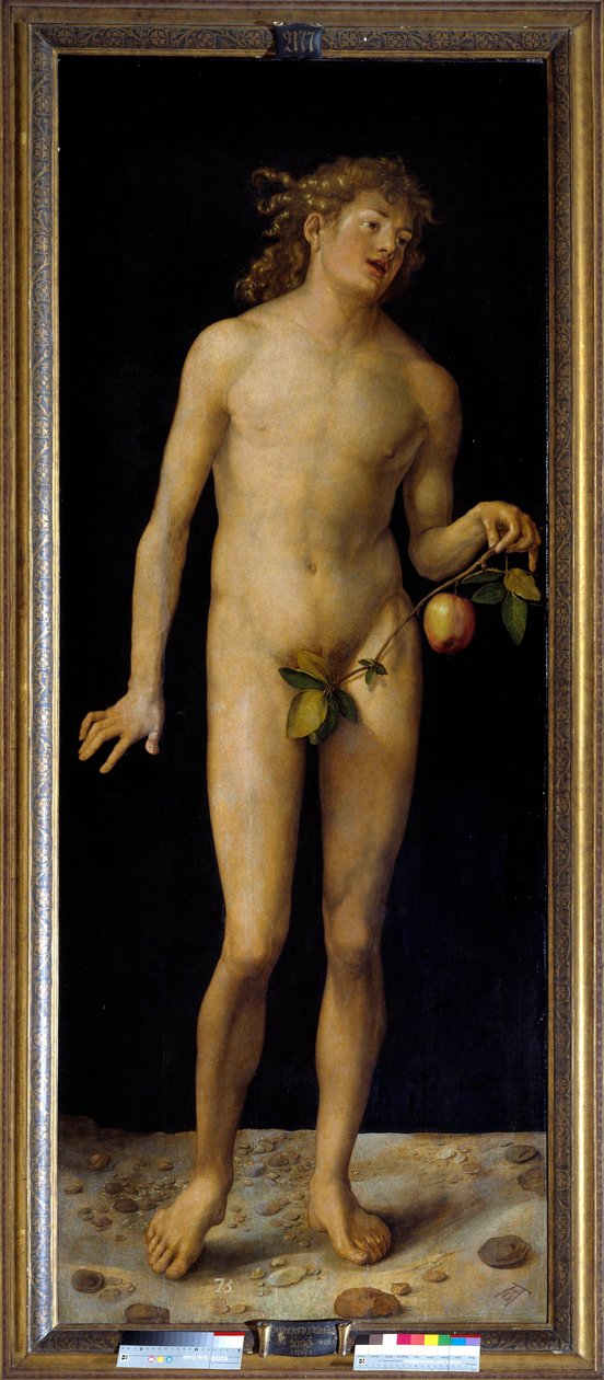 アルブレヒト・デューラー（1471-1528）によるアダムの絵 1507年 日2,09 x 0,80 m Madrid, Prado Museum - Adam.アルブレヒト・デューラー（1471-1528）の絵画、パネルに油彩 作： アルブレヒト・デューラー