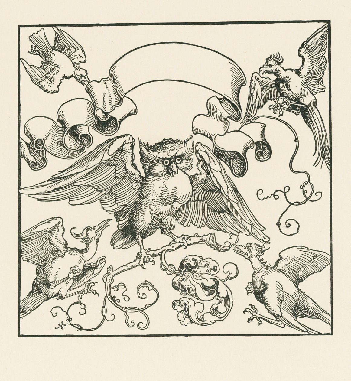4羽の鳥に襲われるフクロウ 1515年頃 （木版画） 作： アルブレヒト・デューラーまたはデューラー