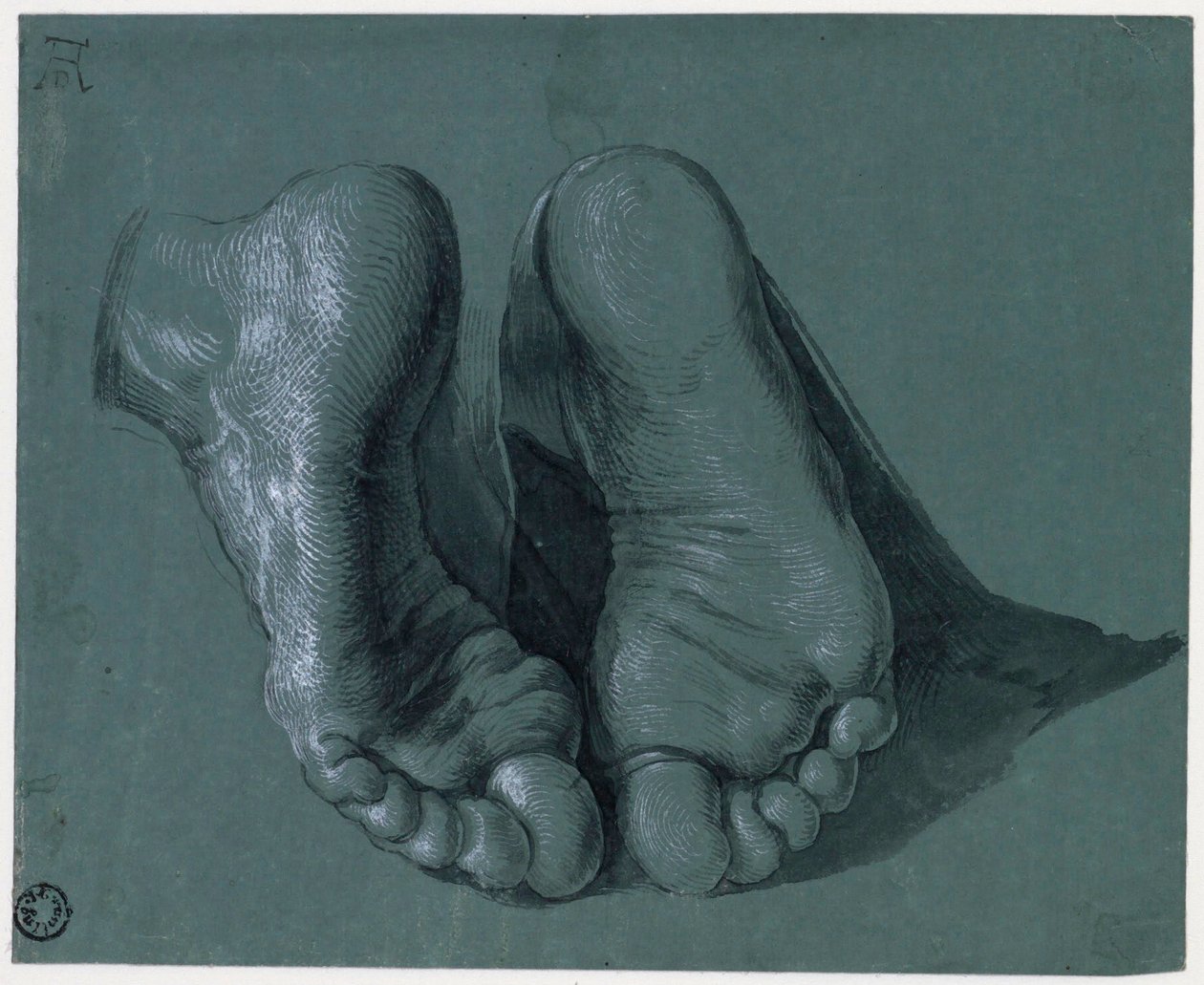 Etude de pieds - Study of Two Feet - Drawing by Albrecht Durer (1471-1528), Watercolour, white color, black chalk on paper, c1508 (17.6x21.6cm) - Museum Boijmans Van Beuningen、ロッテルダム 作： アルブレヒト・デューラー