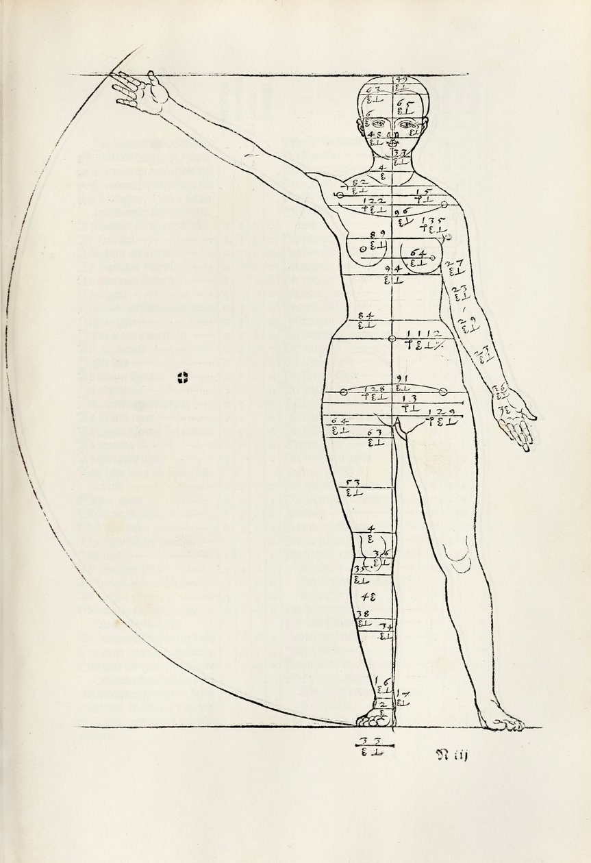 Hierinn sind begriffen vier bücher von menschlicher Proportion」の女性の解剖学的木版画 作： アルブレヒト・デューラー