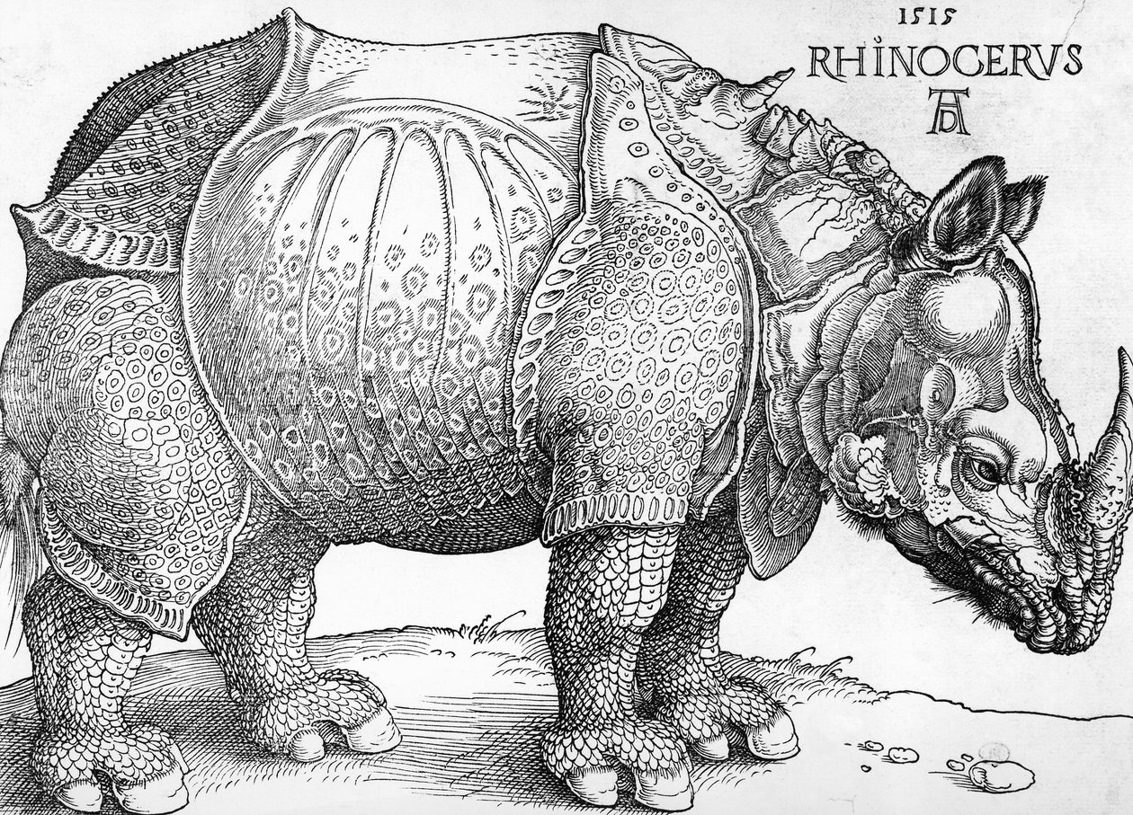 Rhinoceros 作： アルブレヒト・デューラー