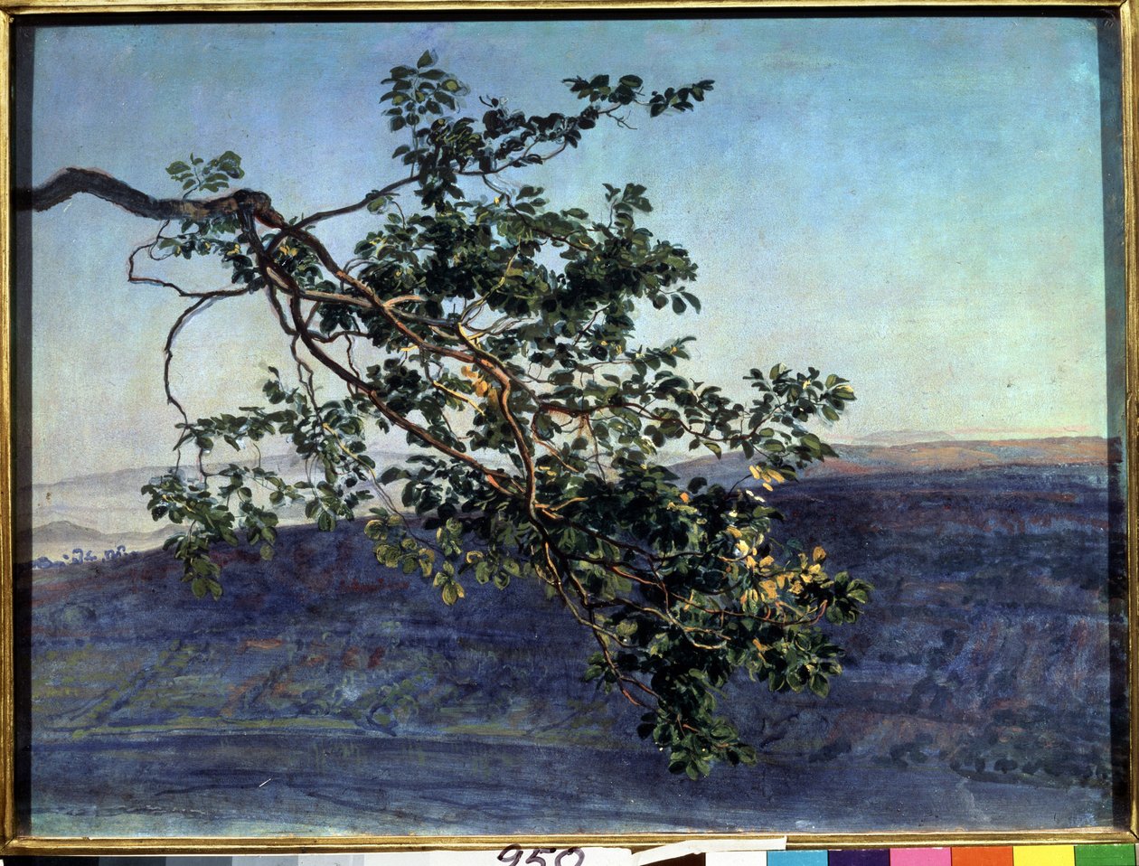 ""La branche"" Peinture de Alexander Ivanov (1806-1858) 1840-1850 State Tretyakov Gallery, Moscou 作： アレクサンドル・アンドレエヴィッチ・イワノフ