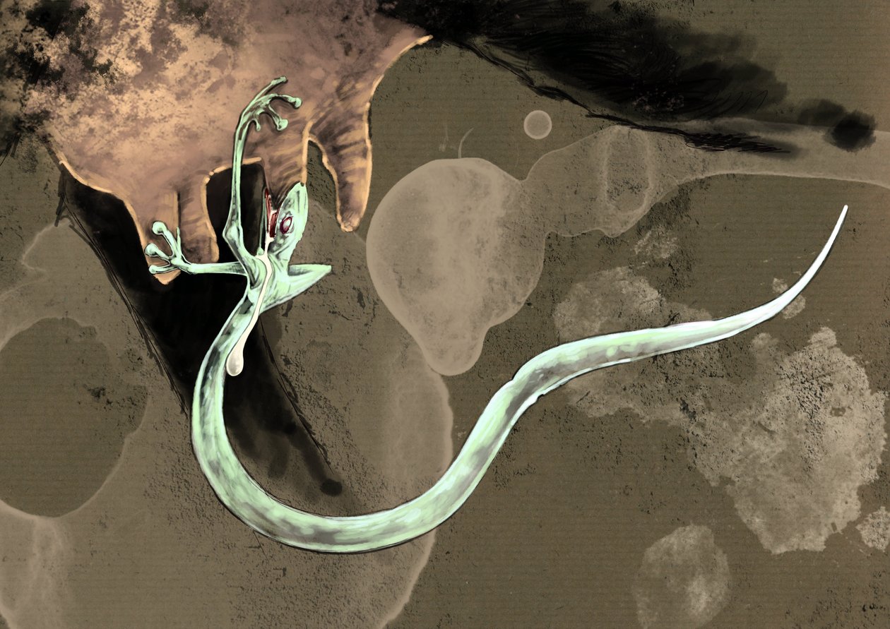 幻の怪物と生き物、未確認動物学: アレッサンドロ・ロナティ作画、2012 年 作： アレッサンドロ・ロナティ