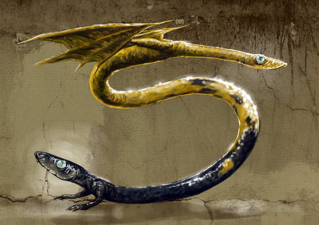 Monstros e criaturas fantásticas, criptozoologia: representação de um anfisbeno, cobra mitológica com duas cabeças - (Amphisbaenamitológica, serpente comedora de formigas com uma cabeça em cada ponta) Desenho de Alessandro Lonati, 2012 作： アレッサンドロ・ロナティ