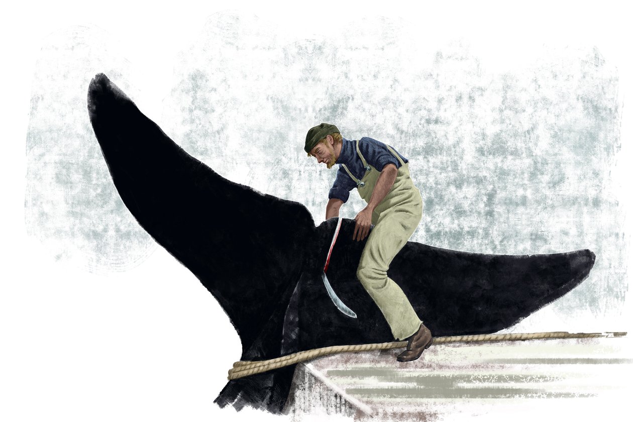 クジラの尻尾を切るクジラ船 作： アレッサンドロ・ロナティ