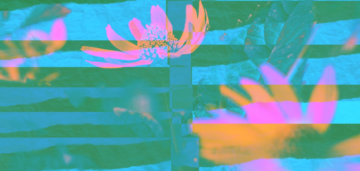 Allways and everywhere,2019,(collage) 作： アレックス・キャミンカー