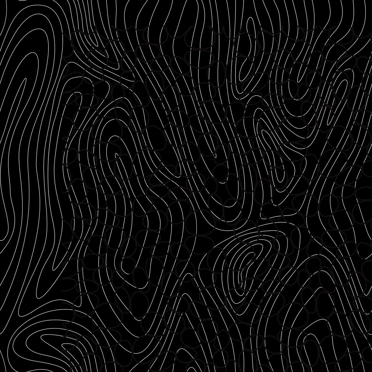 tree rings,2017,(mixed media) 作： アレックス・キャミンカー