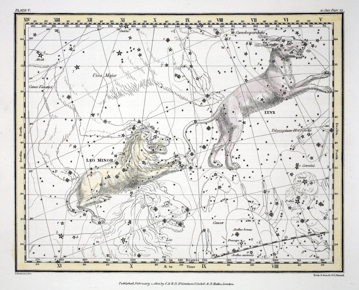 星座（プレートV）リンクス、レオマイナー、アレクサンダージェイミソンの &39;A Celestial Atlas&39;から、パブ。ロンドン1822（手描きの彫刻）; 作： アレクサンダー・ジェイミーソン