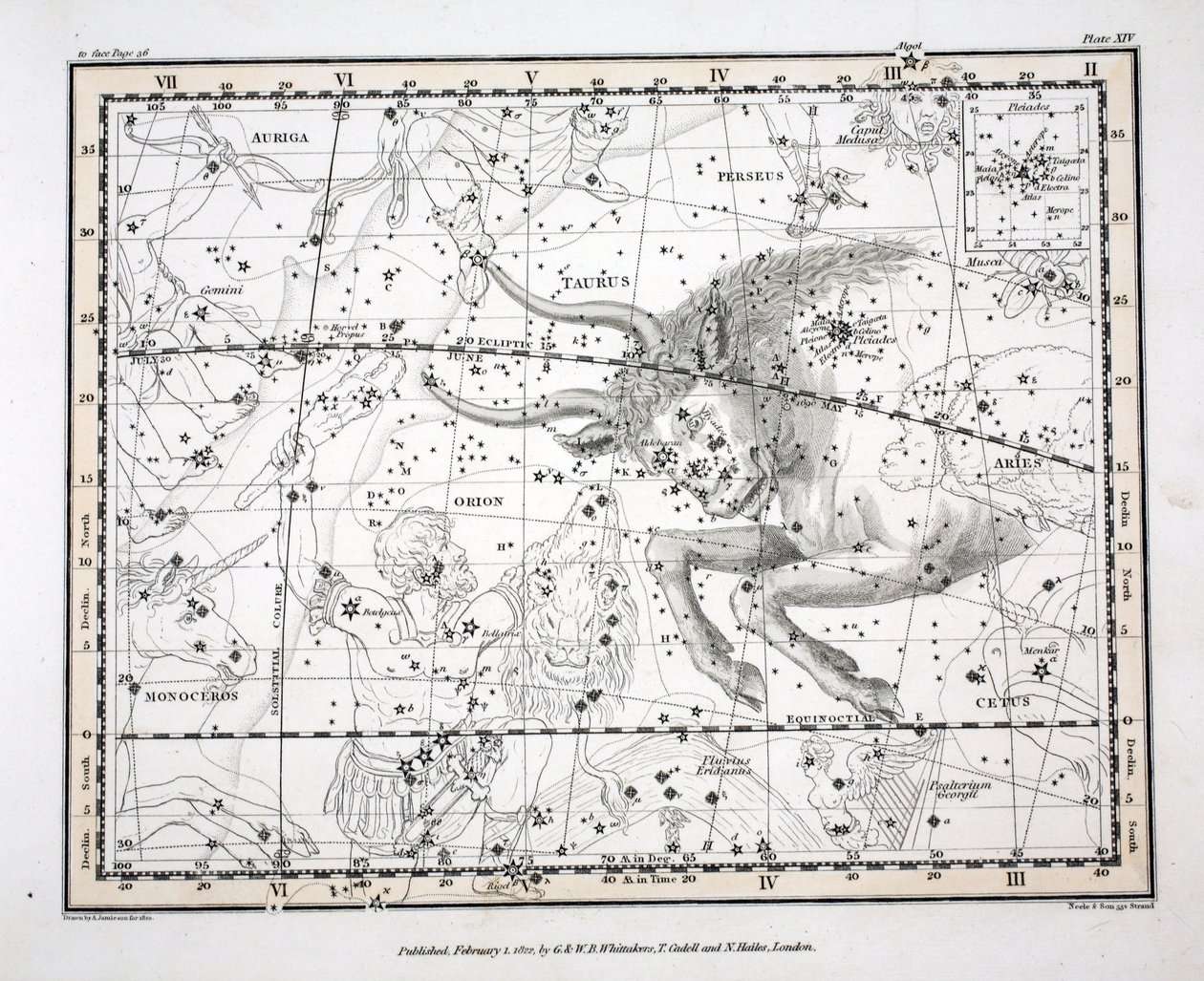 The Constellations（Plate XIV）Taurus、from &39;A Celestial Atlas&39; by Alexander Jamieson、pub。ロンドン1822（手描きの彫刻） 作： アレクサンダー・ジェイミーソン