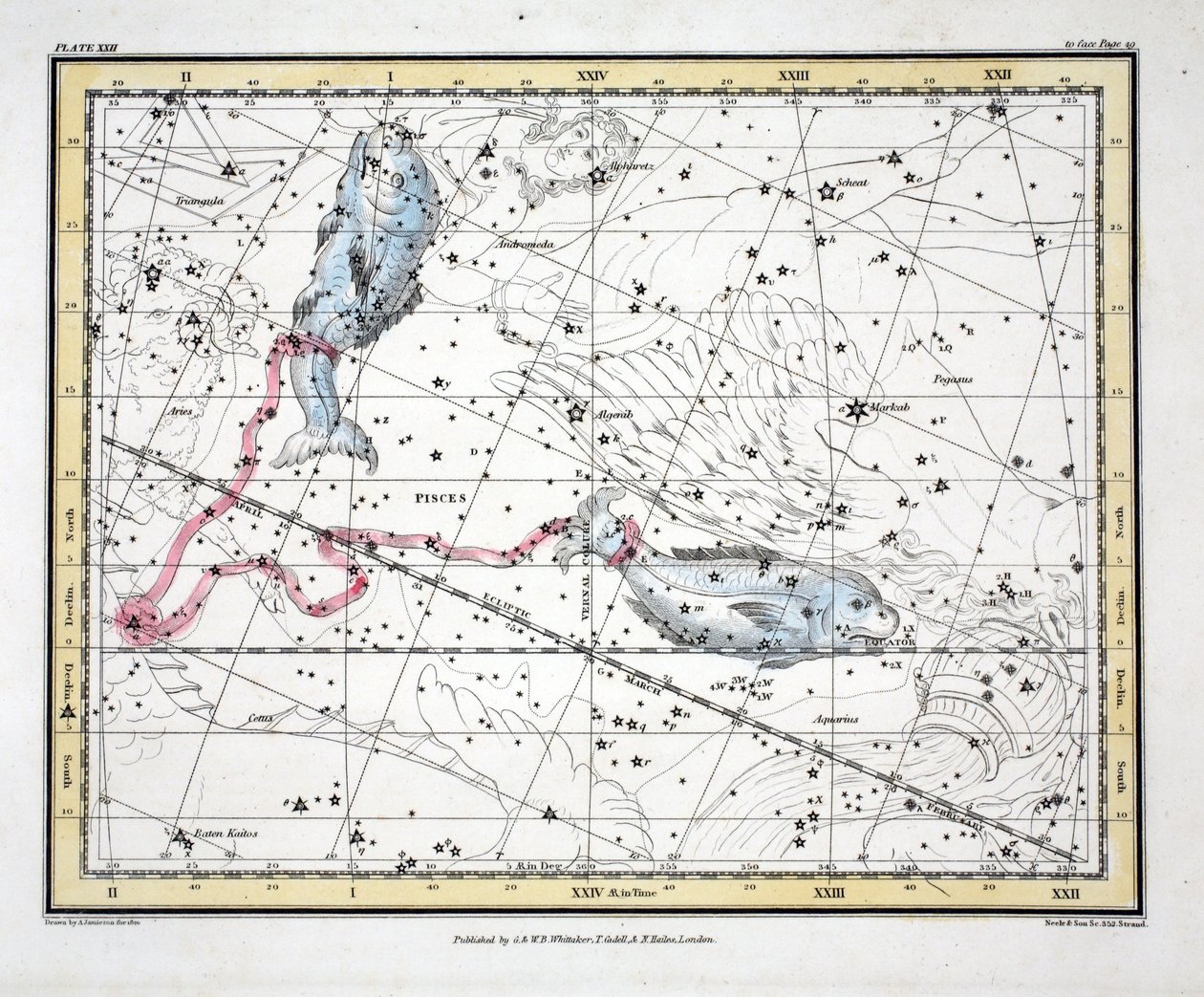 The Constellations（Plate XXII）Pisces、from &39;A Celestial Atlas&39; by Alexander Jamieson、pub。ロンドン1822（手描きの彫刻） 作： アレクサンダー・ジェイミーソン