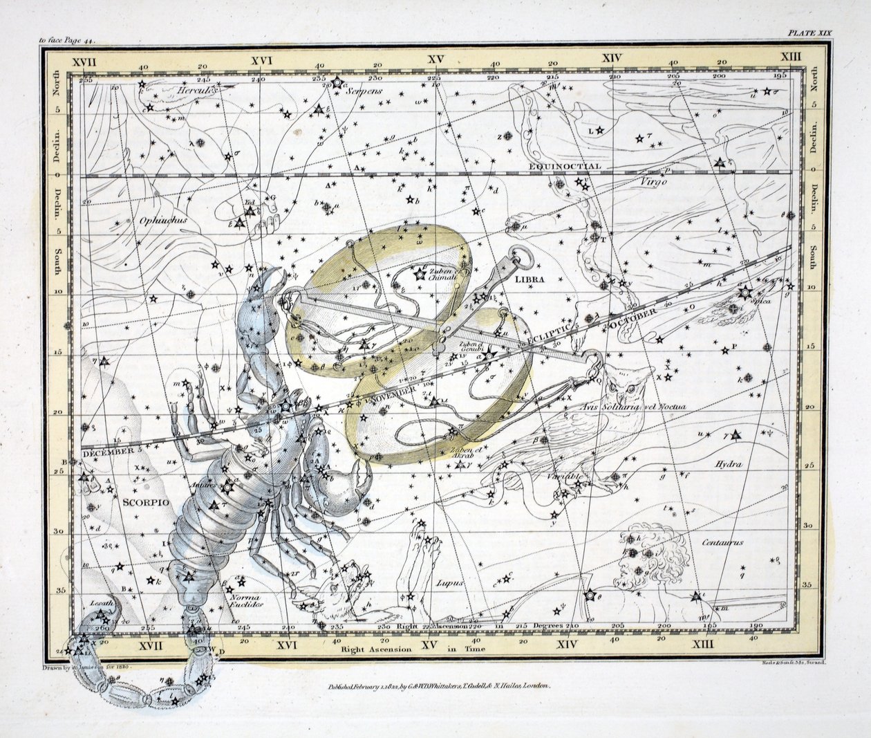 星座（プレートXIX）てんびん座とさそり座。ロンドン1822（手描きの彫刻） 作： アレクサンダー・ジェイミーソン