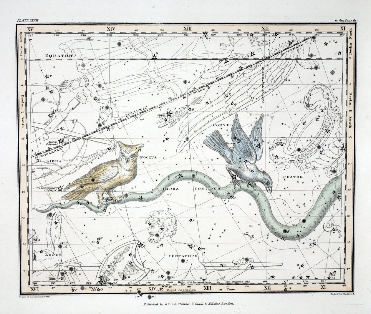 星座（プレートXXVII）Hydra Continua、Crater、Cuvus、Centaurus et Lupus、Alexander Jamiesonによる &39;A Celestial Atlas&39;から。ロンドン1822（手描きの彫刻） 作： アレクサンダー・ジェイミーソン