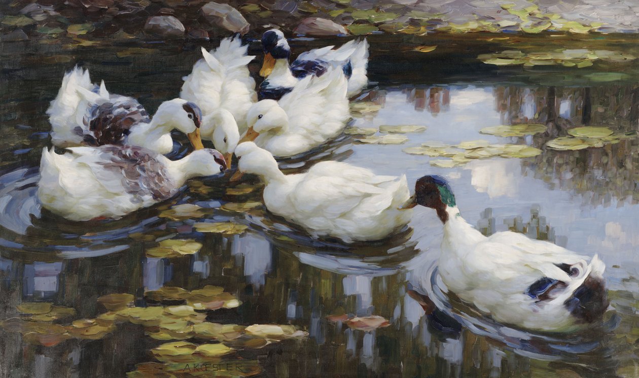 アヒルの池 | アートプリント