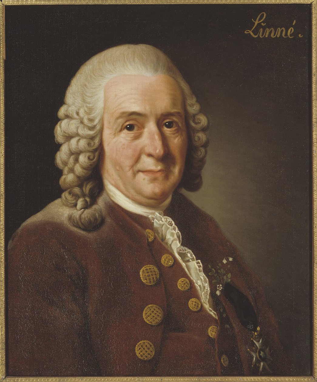 カール・リンネ（1707-1778）、教授・植物学者、1775年 作： アレクサンダー・ロスリン