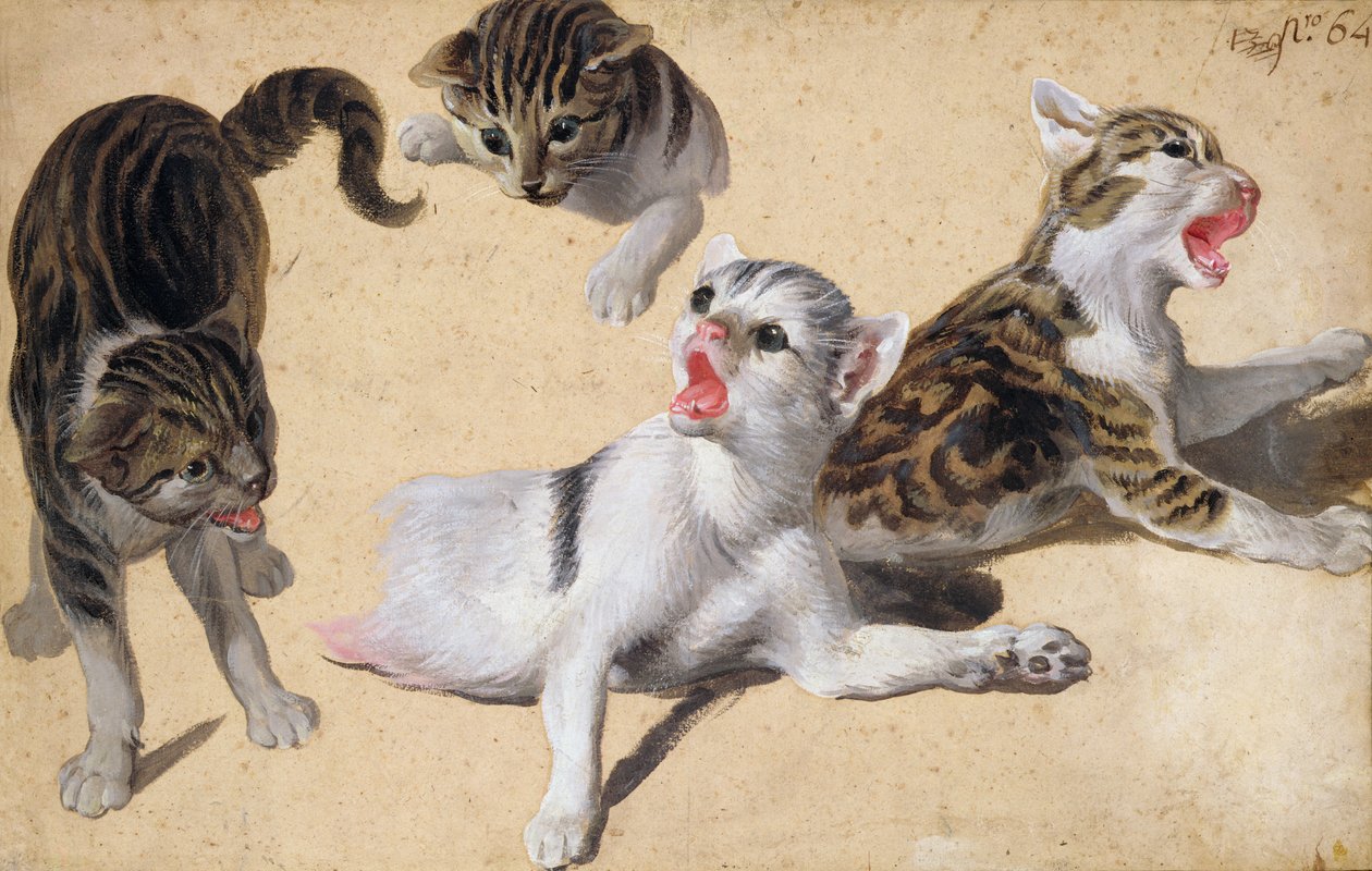 子猫の4つの研究（薄茶色の紙に油彩） 作： アレクサンドル・フランソワ・デスポルテ