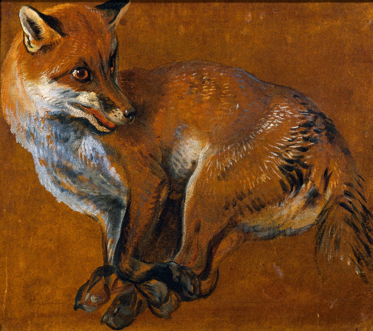 足を縛られたキツネ（アレクサンドル・フランソワ・デスポータス（1661