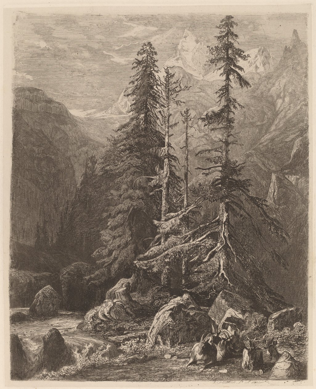 Alexandre Calameによるエッチングの試み、I、pl。 21 作： アレクサンドル・カラメ