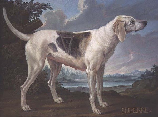 コンデ公爵家の猟犬「スーペルベ」の肖像（油彩・キャンバス） 作： アレクサンドルF.（学校）Desportes