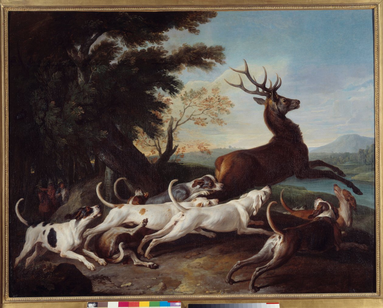 狩猟の様子"Debuche du deer" フランソワ・デスポータス（1661-1743）の絵画 1718年 日。1,1x1,45 m ルーアン、ボザール美術館（Musee des Beaux Arts 作： アレクサンドル・フランソワ・デスポルテ