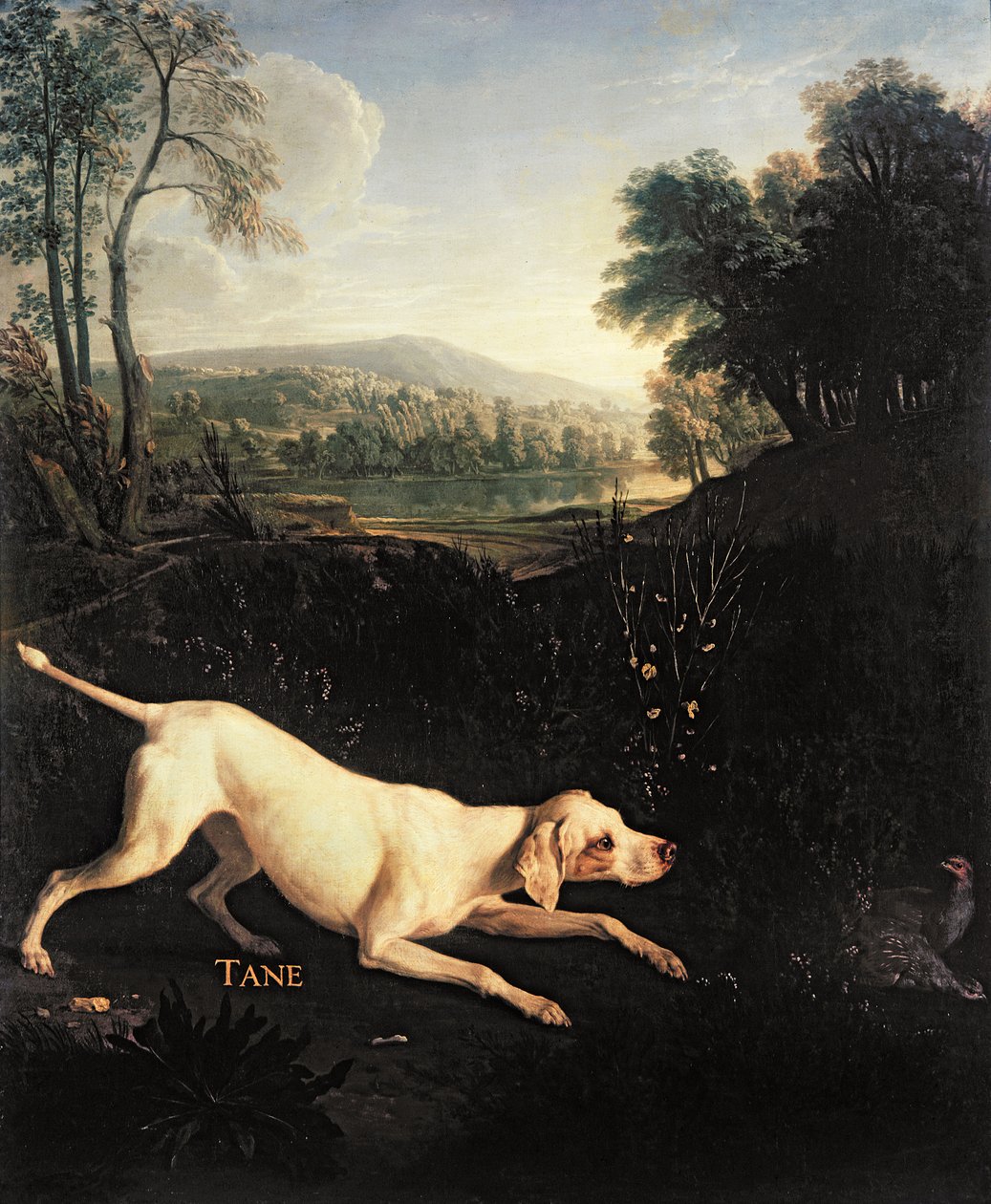 ルイ14世の犬、種音 作： アレクサンドル・フランソワ・デスポルテ