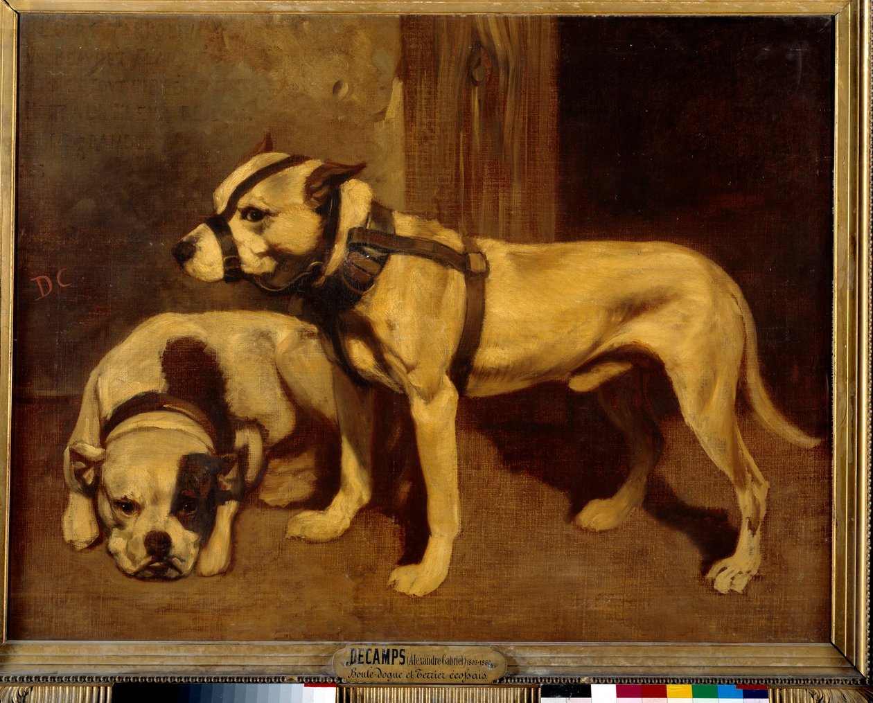 銃口のあるスコットランドのブルドッグとテリアの悪い犬。アレクサンドルガブリエルデカンプによる絵画 作： Alexandre Gabriel Decamps