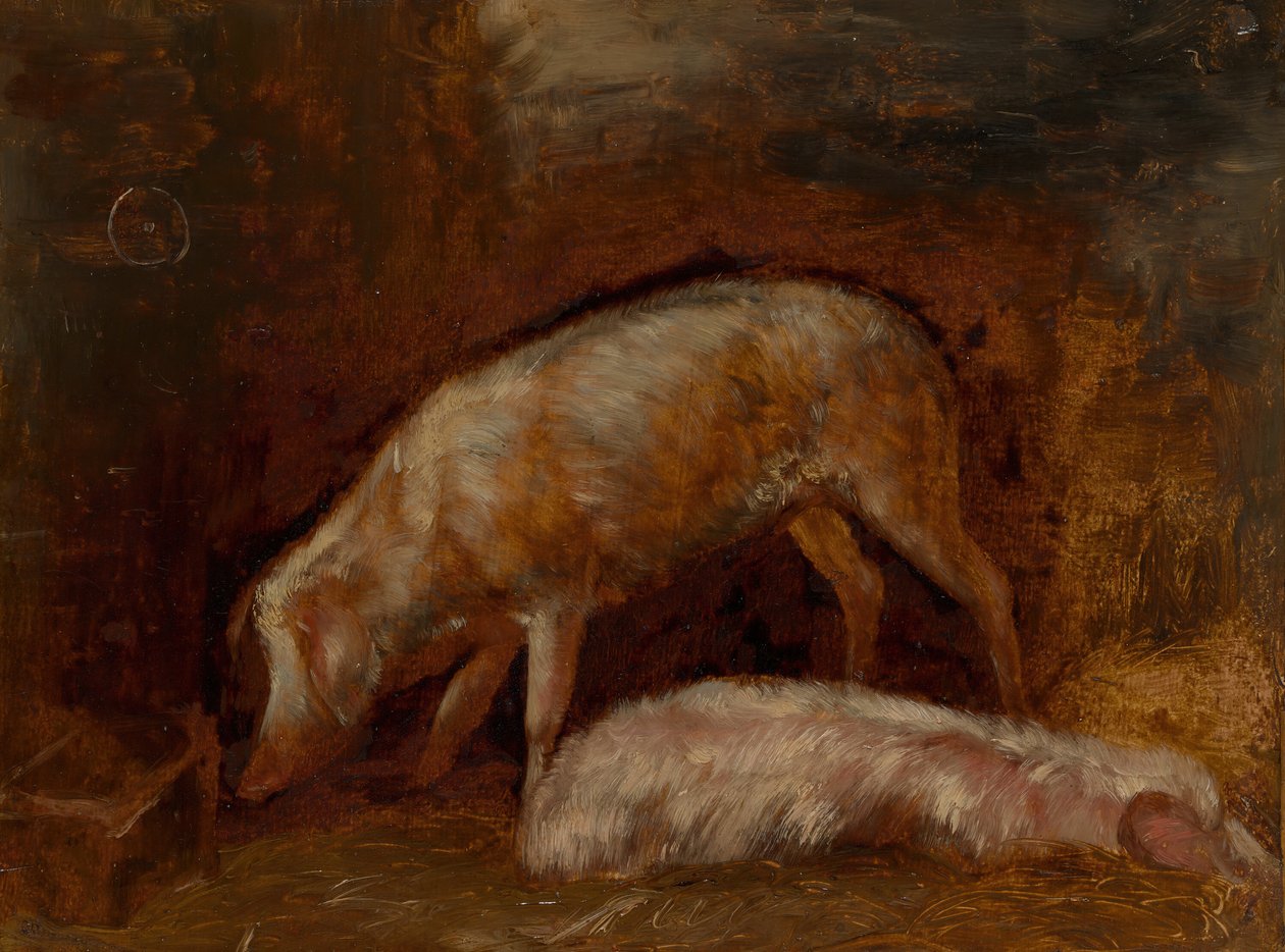 豚の研究、185060。 作： Alexandre Gabriel Decamps
