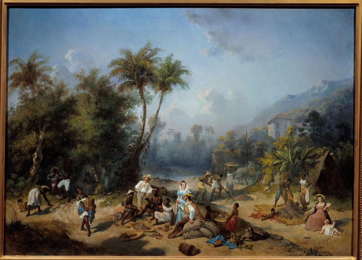 西インド諸島のカカオ農園 アレクサンドル・バランス（1822-1893）の絵画 19世紀 日。0.5x0.7 m ラ・ロシェル、ヌーヴォー・モンド美術館 - 西インド諸島のカカオ農園。アレクサンドル・バランス (1822-1893)の絵画 作： アレクサンドル・ソルデ