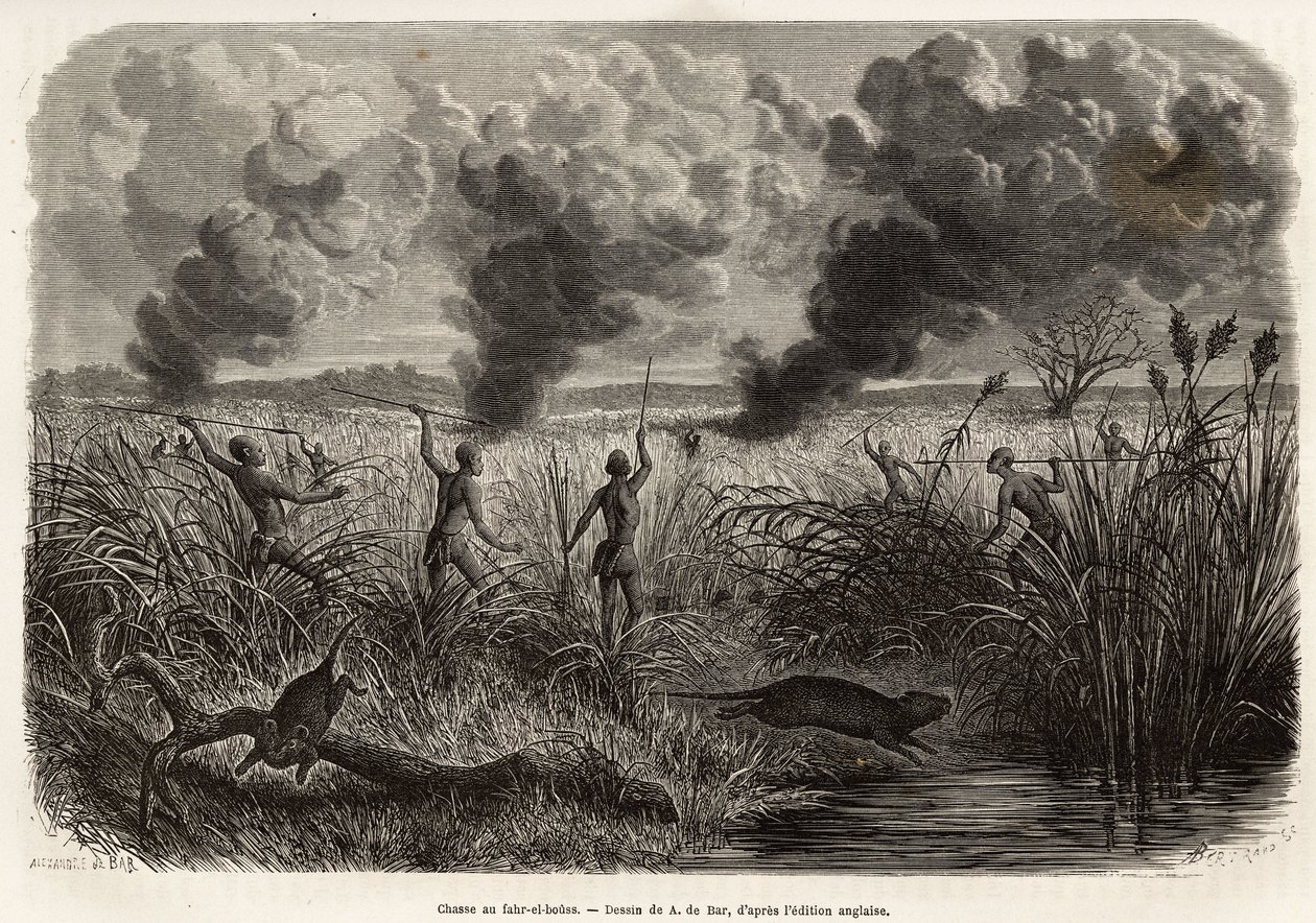 Der Bongo-Stamm jagt die Ratte aus den Schilfrohren (für Naturforscher: Aulacode), sobald der Ort, an dem die Nagetiere leben, entdeckt wird, wird das trockene Gras um ihre Hütte herum angezündet, bis die Ratten, gezwungen zu fliehen, sich den Jägern präse von Alexandre de (after) Bar
