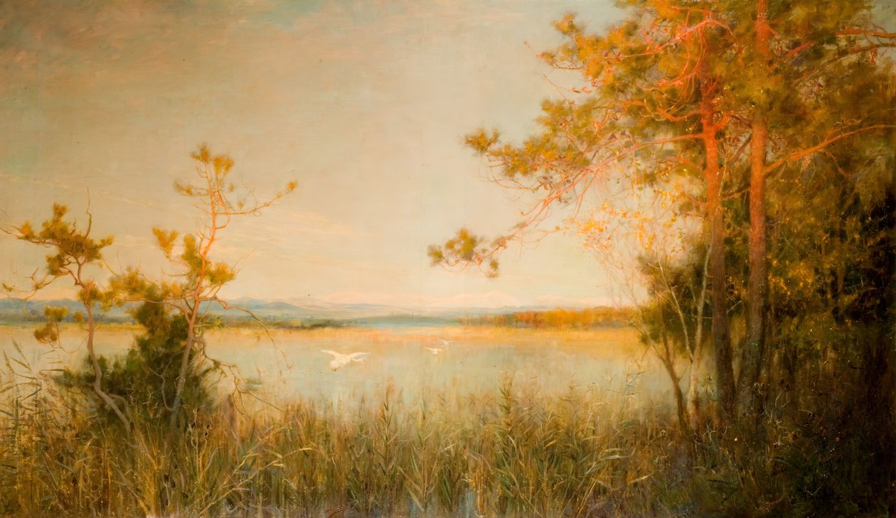 Reedy Mere and Sunlit Hills、1890-91。 作： アルフレッド・エドワード・イースト