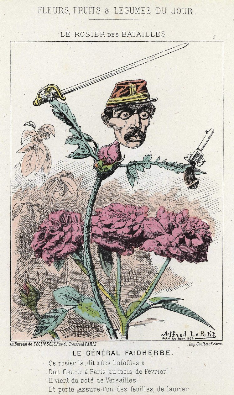 バタイユの薔薇：ファイダーブ将軍を描いた漫画-1871年1月20日の「今日の花、果物、野菜」に掲載された絵 作： アルフレッド・ル・プティ