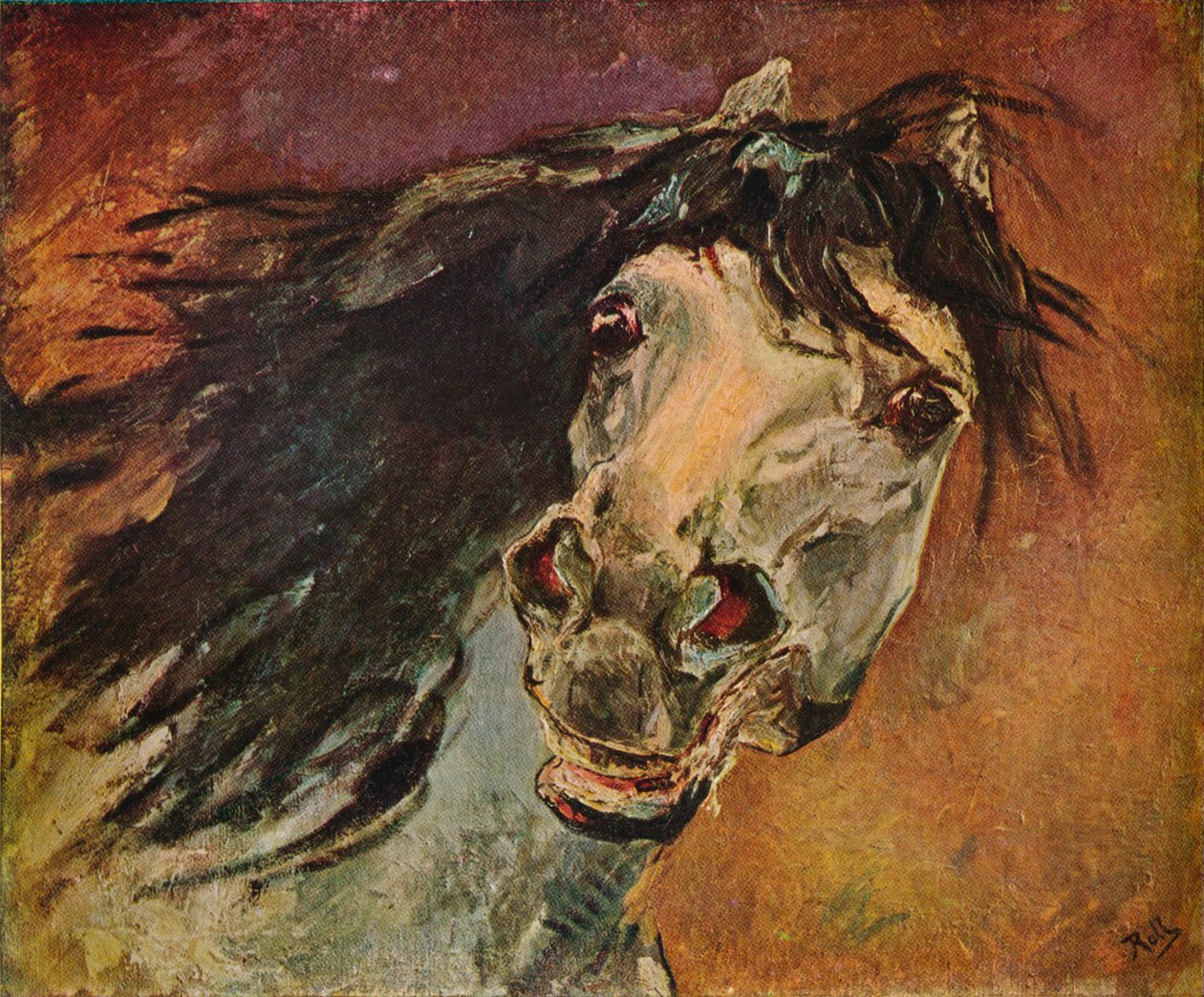 アンダルシア馬の頭、c1910 作： アルフレッドロール