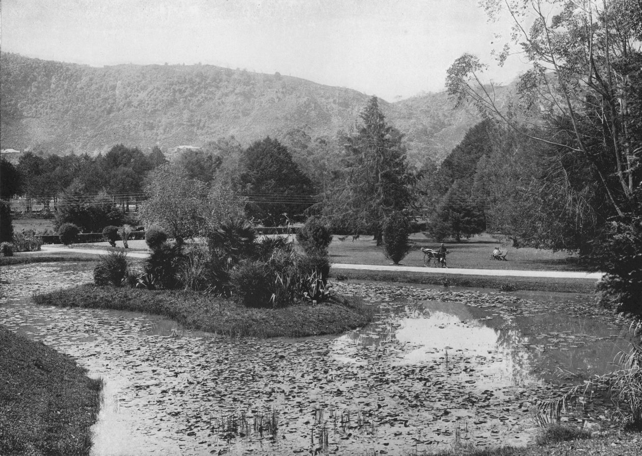 蓮の池のハッカラ庭園、ヌワラエリヤ、c1890、1910 作： アルフレッドウィリアムアマンダスプレート