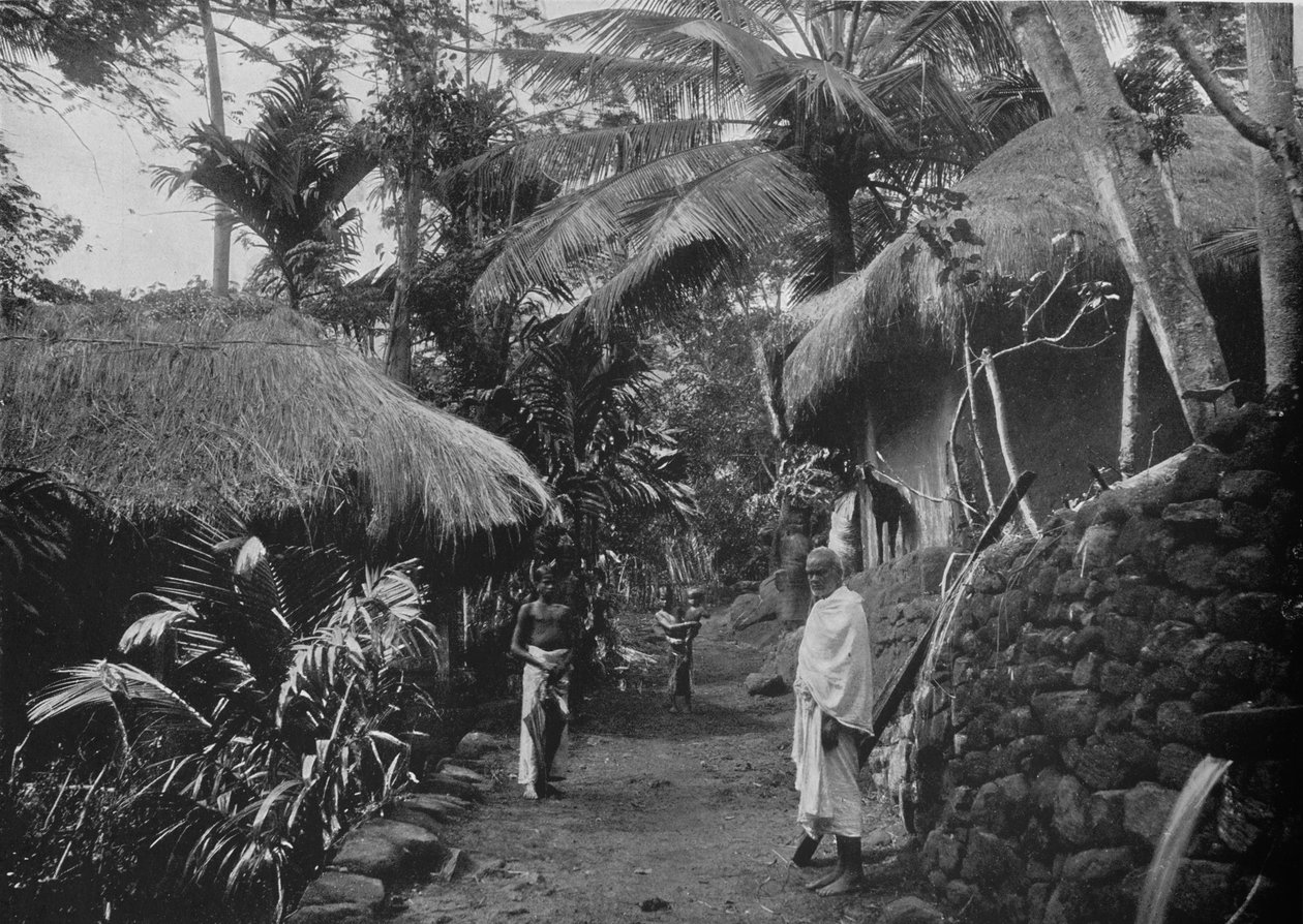 ジャングルの先住民族の小屋、c1890、1910 作： アルフレッドウィリアムアマンダスプレート