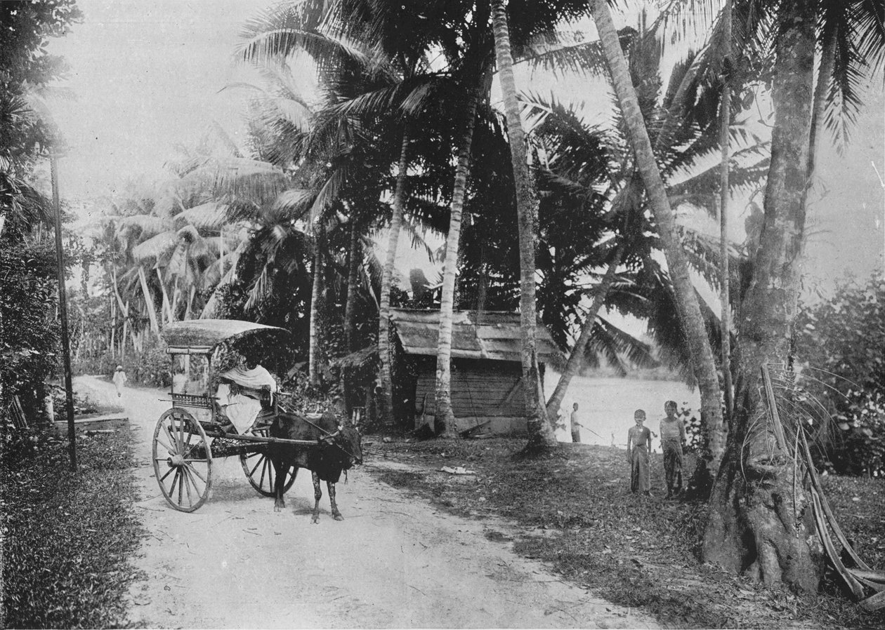 ケラニヤ川の横の道、c1890、1910 作： アルフレッドウィリアムアマンダスプレート